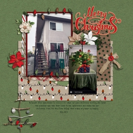 1st-Christmas-tree.jpg