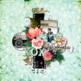 Beautiful_Memories1.jpg