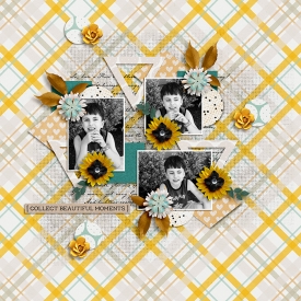 Collect-Beautiful-Memories.jpg