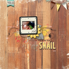 Hello-Snail-copy.jpg