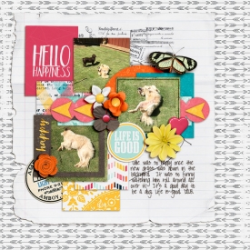 HelloHappiness_jenevang_web.jpg