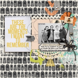 MomentsIWantToRemember-72ppi.jpg