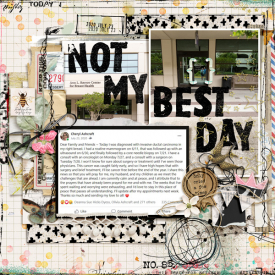 NotMyBestDay_Cheryl_2020-07-23.jpg