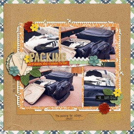Packing3.jpg
