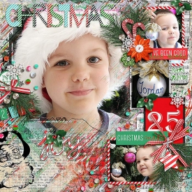 SB-700-Christmas-Joy.jpg