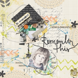 SB-700-Remember-This.jpg