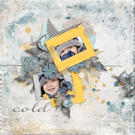 SB-700-cold.jpg