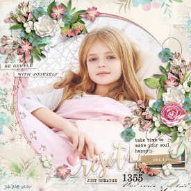 SB-HSA-reset-9Feb.jpg