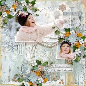 SB-HSA-winter.jpg