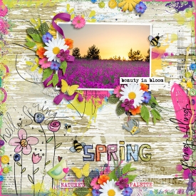 SB-SPRING-24Feb.jpg