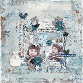 SB-TTT-snow-23Dec.jpg