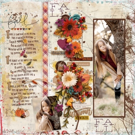 SB-fall-5Oct.jpg