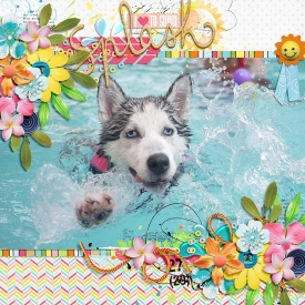 SB-splash-21July.jpg