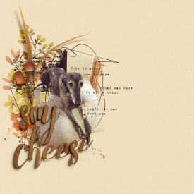 SayCheeseAnnie_Dalis_700.jpg