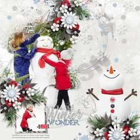 TTT-SB-HSA-Winter-Wonder.jpg