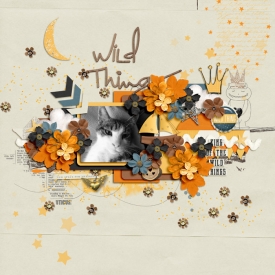 WildThingweb1.jpg