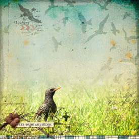 abeautifullife3900.jpg