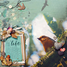 abeautifullife900.jpg