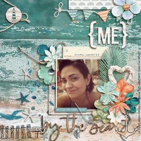 beach-copy1.jpg