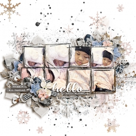 donna-sbasic_mustlovemusthave-layout.jpg
