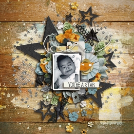 donnae-dsi-sbasic_madeofstars-layout-SSD.jpg