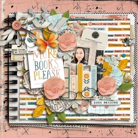 donnae-sb-ap-iltr-layout.jpg