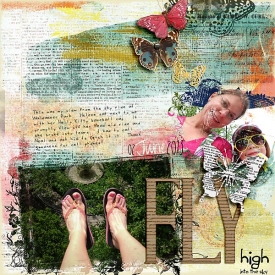 fly-high-into-the-sky-copy.jpg