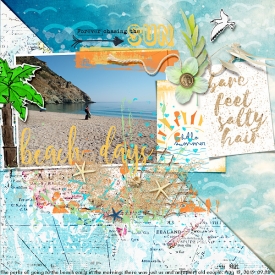 lbw_SBasic_Beachscape.jpg