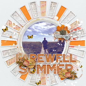 marnel-sbasic_PD-summermemoneverfade_.jpg