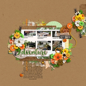 planninganewgardenF700.jpg