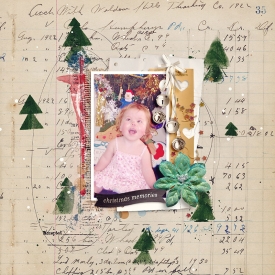 sb_ntsnoteverydayismerry_Tracy.jpg