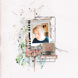 sbasic-takethepicture-Tracy.jpg