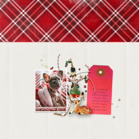 sgleason_dsd2019_Christmaslicious.jpg