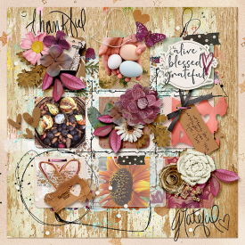 thankfulgrateful-web.jpg