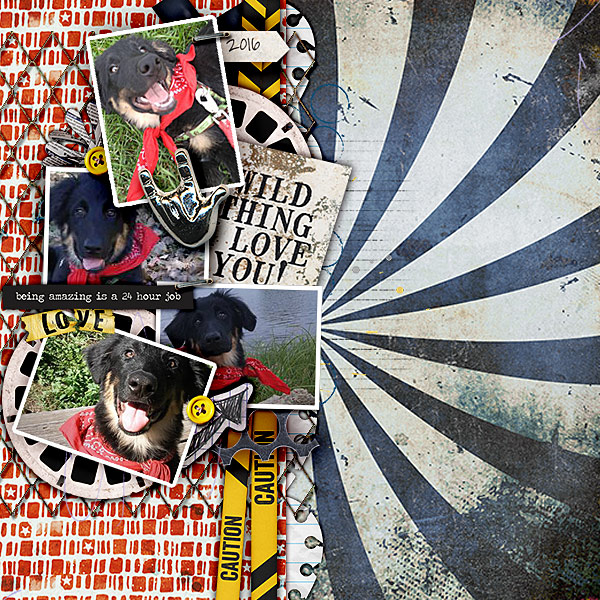 wildthing3