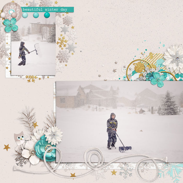 2014-01-31-Tayler