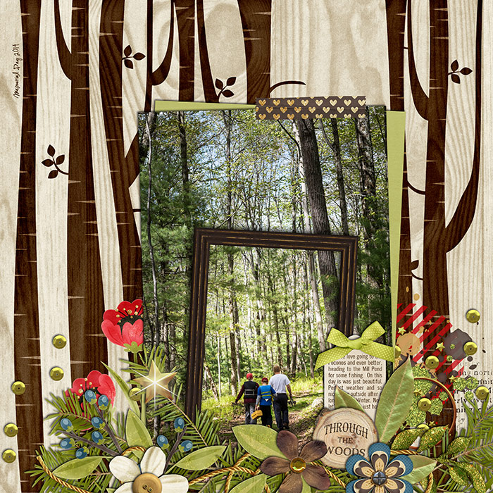 66_2015_throughwoods700w