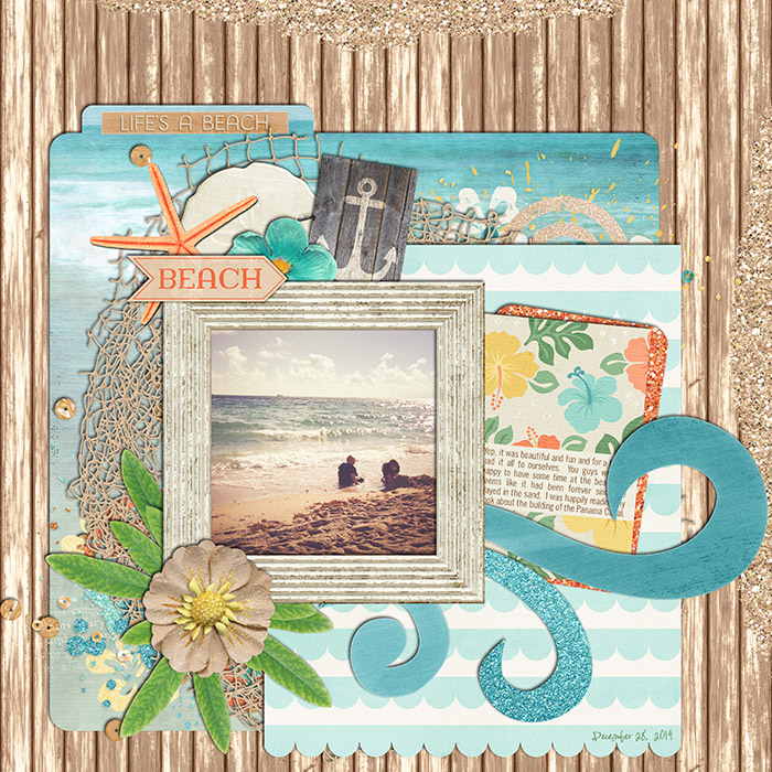 87_2015_beach700w