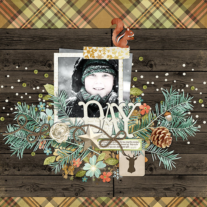 8_2015_dayofsnow700w