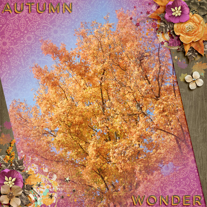 AutumnWonder