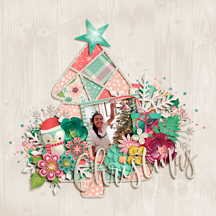 ChristmasTime_SSD_mrsashbaugh