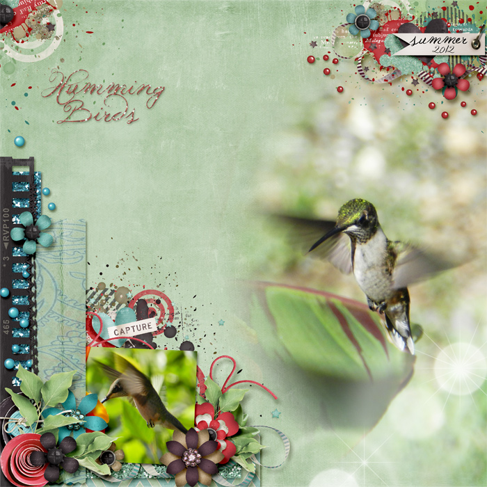 HummingBirds