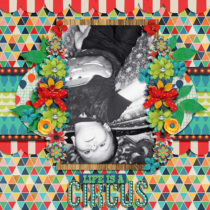 Life-is-a-Circus1