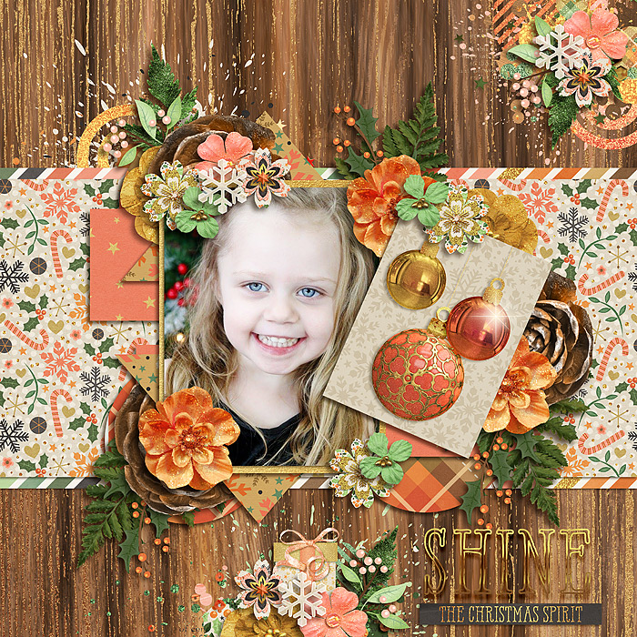 ShineChristmasSpirit_WinterWishes_mrsashbaugh