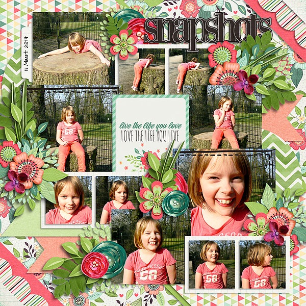 Snapshots_of_life700