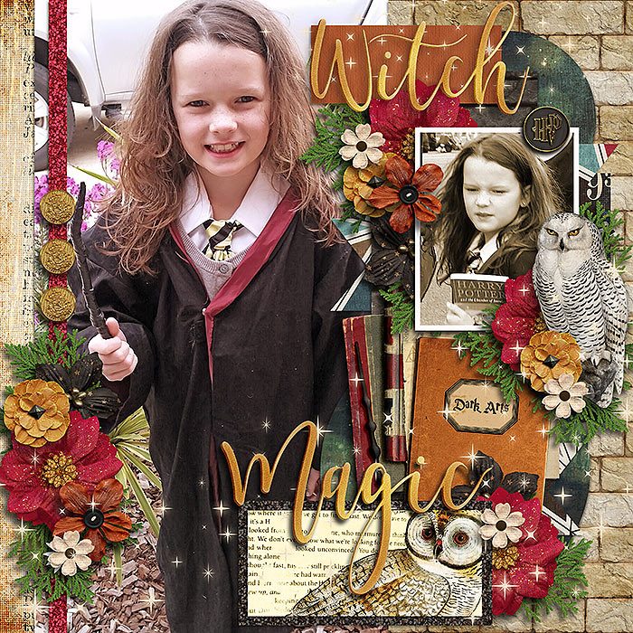 Tinci_FM5_2harrypotter