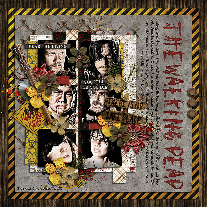 WalkingDead_SSD_mrsashbaugh