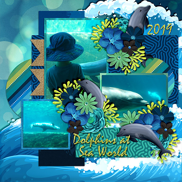 dolphins-sw-519