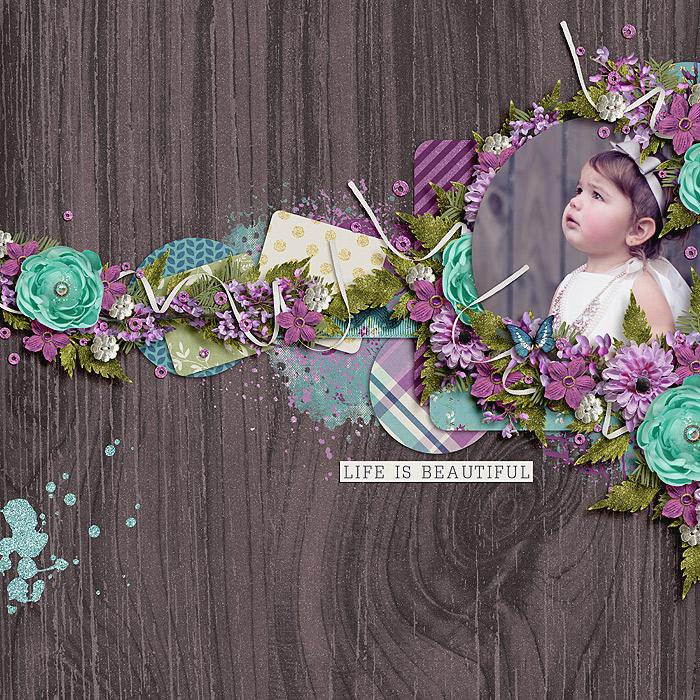 flkcb-meadowlark-Anna-copy