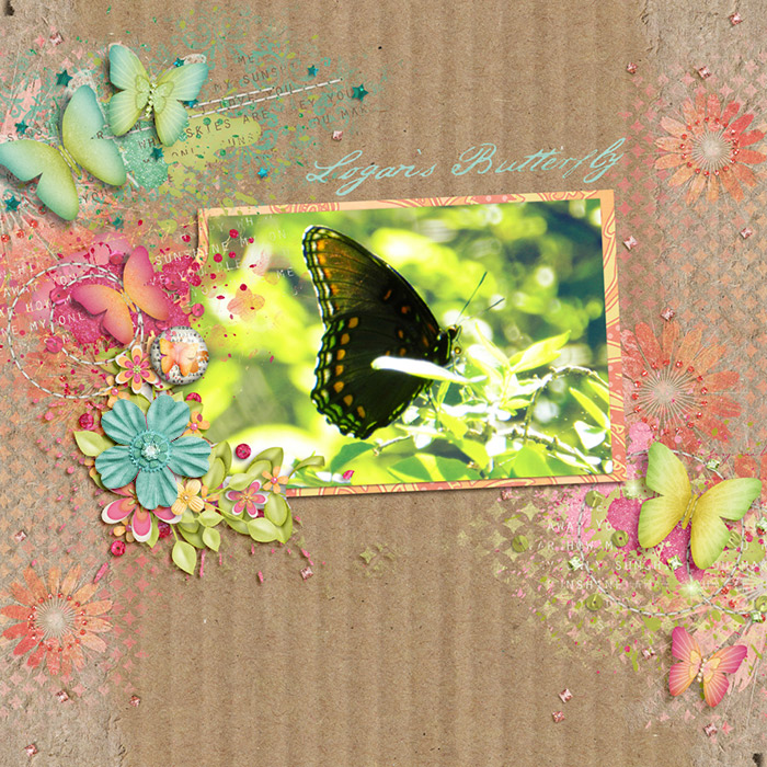 logansbutterfly